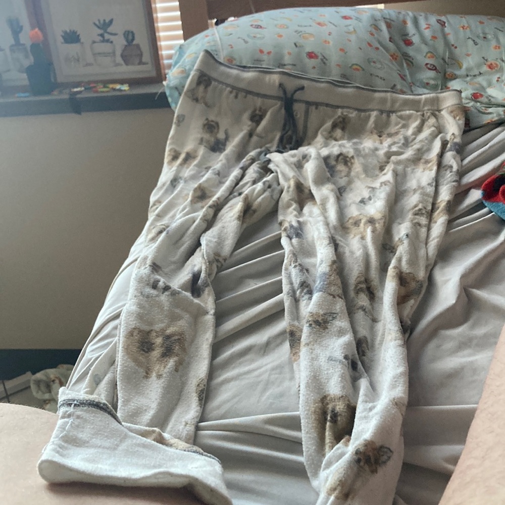 Women’s large PJ Salvage sleep pants